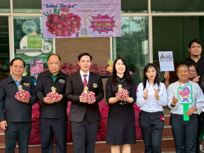 กระจายผลผลิตหอมแดงศรีสะเกษ ภายใต้แคมเปญ "รักนะ เลยให้หอม" พารามิเตอร์รูปภาพ 1